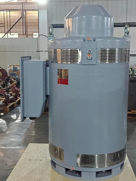 VHS7004TP-4 Vertical Hollow Shaft Motor (1000HP, Three Phase Induction Motor)